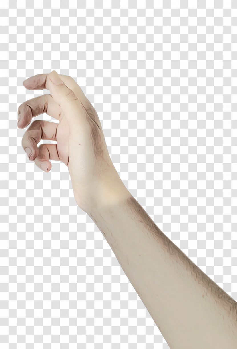 Joint Hand Model Hand H&m Human Skeleton Transparent PNG