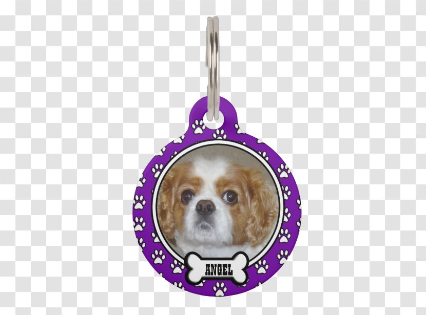 Cavalier King Charles Spaniel Pug Puppy Dog Breed Transparent PNG