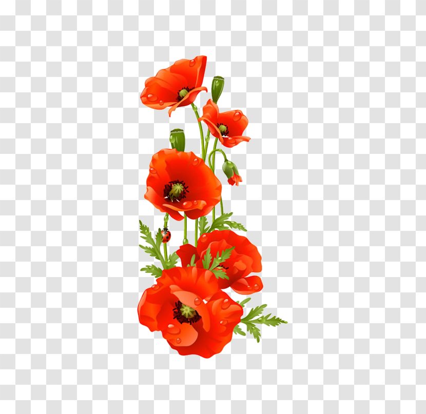 Remembrance Poppy Flower Clip Art - A Bouquet Of Flowers Transparent PNG