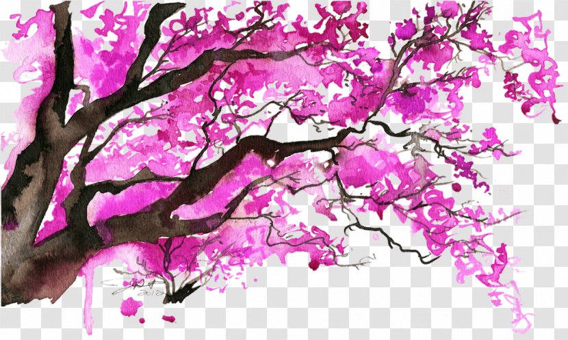 Watercolor Painting Cherry Blossom Tree - Petal Transparent PNG
