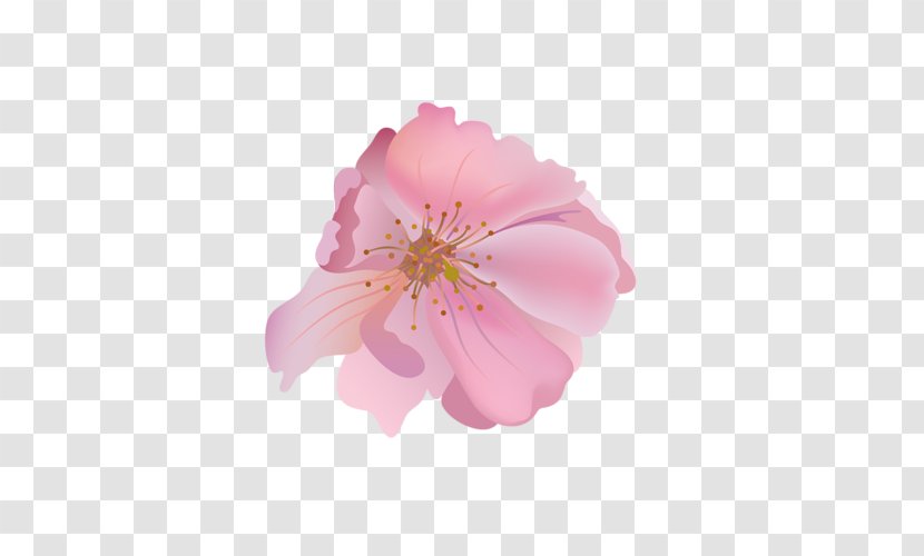 Flower Decoupage No Las Busco - Honey - Ain't Me Transparent PNG