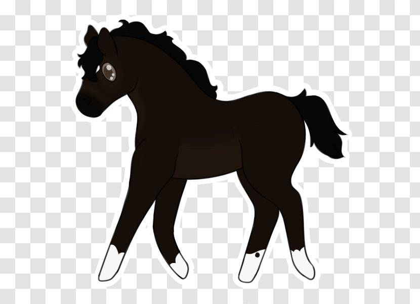 Mustang Pony Foal Stallion American Quarter Horse - Mane Transparent PNG