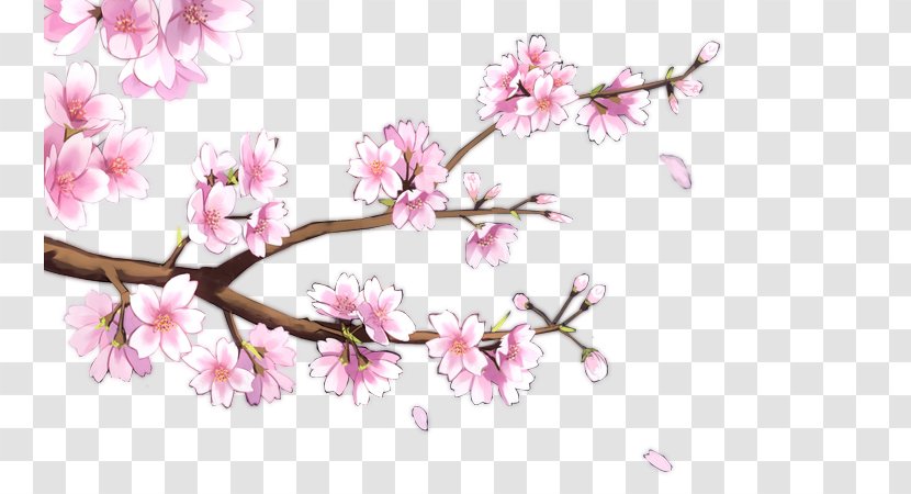 Common Plum Blossom - Transparency And Translucency - Dream Branch Transparent PNG