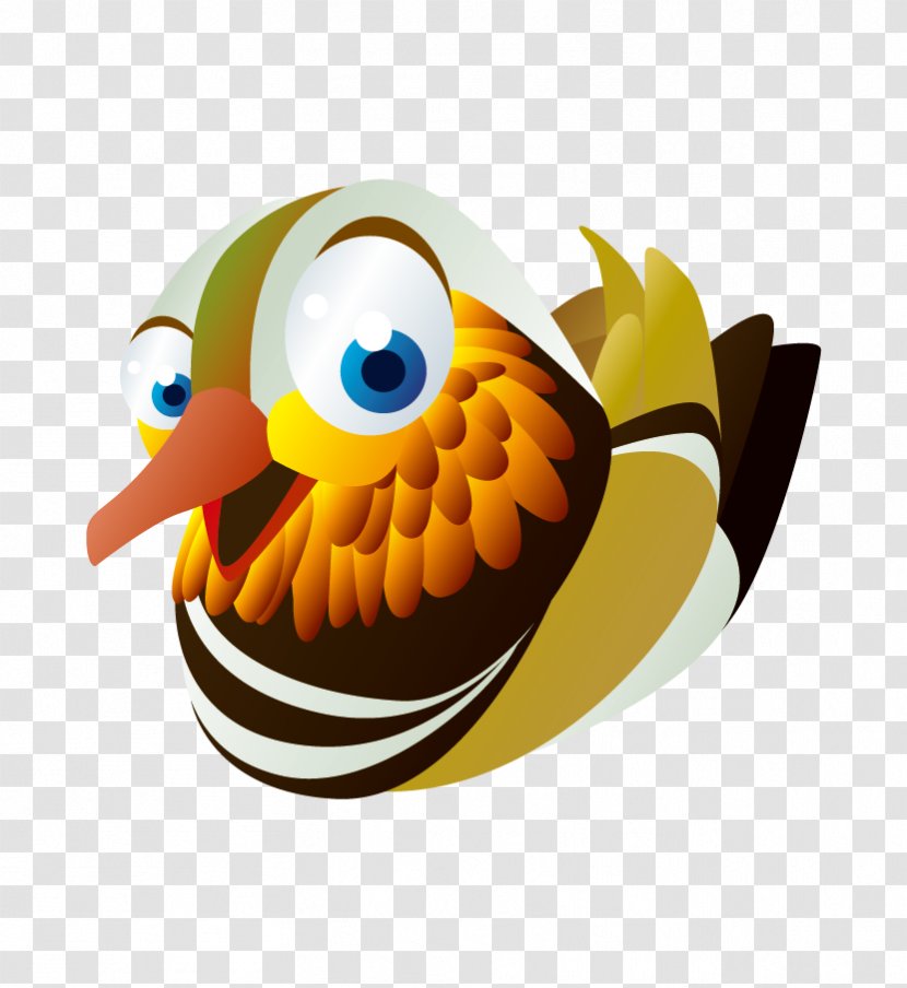 Euclidean Vector Computer File - Bird - Mandarin Duck Transparent PNG