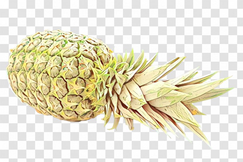 Ice Cream Cones - Pineapple - Red Pine Plant Transparent PNG