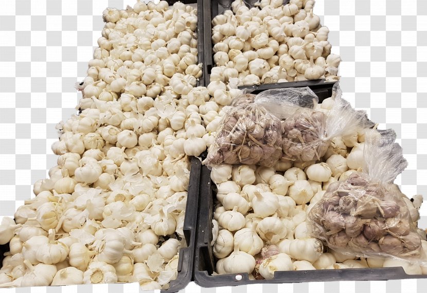 Mbulu District Nia Yetu Garlic Onion 0 - Marketplace - Coriender Transparent PNG
