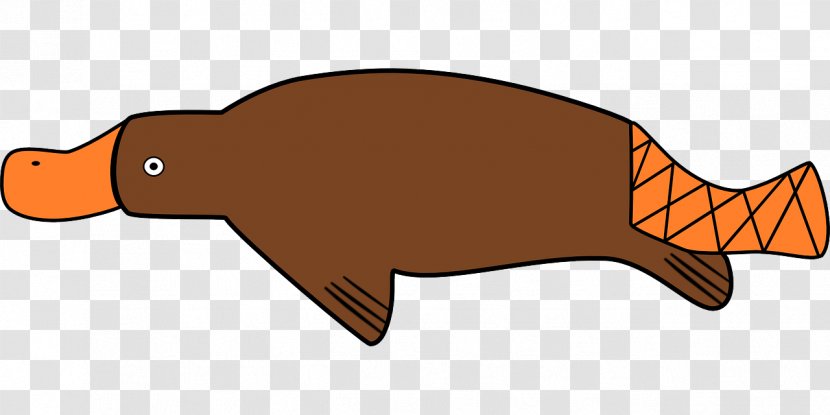 Platypus Clip Art Image - Tail - Angry Transparent PNG