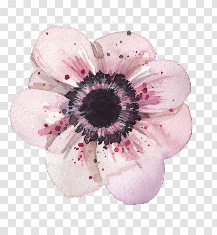 Poppy Flowers Watercolor Painting Drawing - Gerbera Transparent PNG