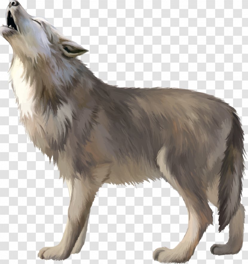 Gray Wolf Download - Dog Breed Group Transparent PNG