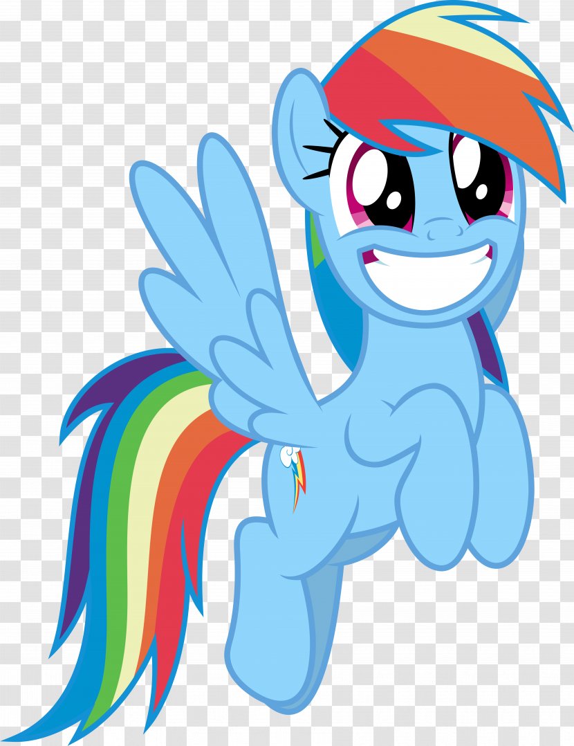 Rainbow Dash Pony Pinkie Pie Fluttershy Applejack - Art - House Fly Awesome Transparent PNG