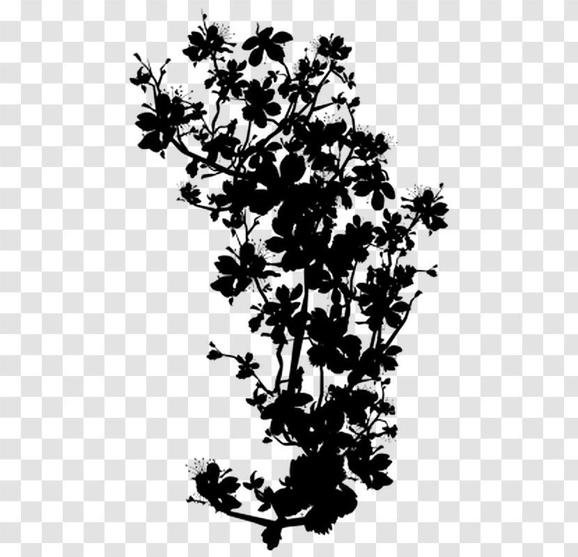 Twig Plant Stem Flower Leaf Silhouette - Wildflower Transparent PNG