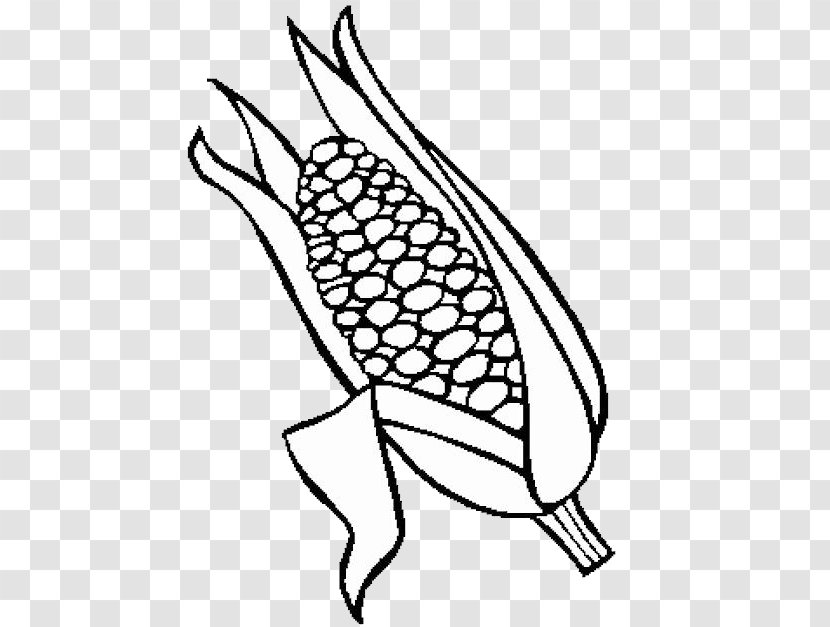 Maize Drawing Corncob Painting Food - Paper Transparent PNG