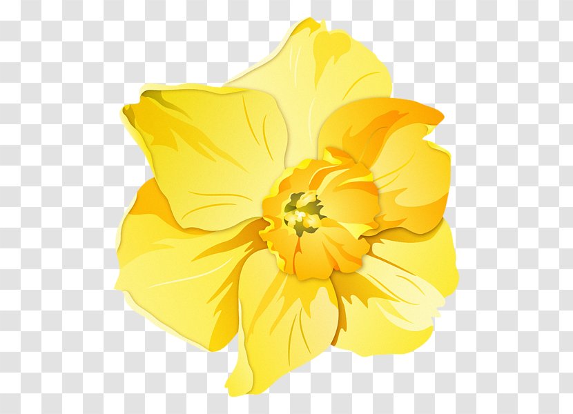 Daffodil Pin Badges T-shirt Zazzle Clothing Accessories - Digital Art - Yellow Sale Transparent PNG