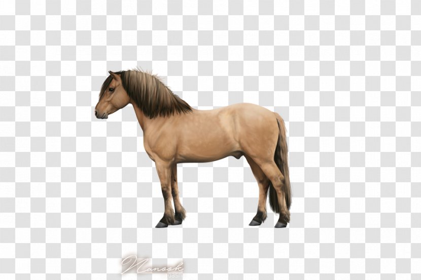 Mustang Mare Rein Stallion Halter - Horse - Highland Pony Transparent PNG
