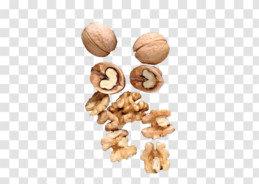 Walnut Fruit Food Transparent PNG