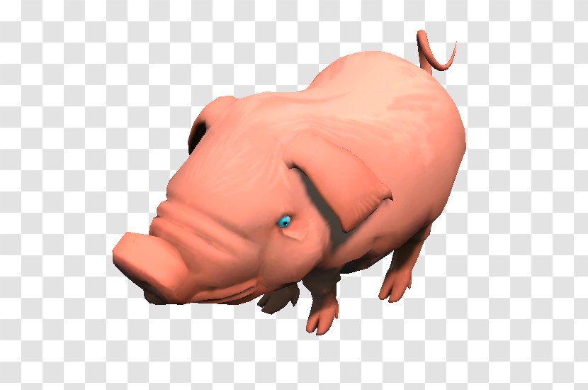 Domestic Pig Snout Akerman&Partner GbR - Cartoon Transparent PNG