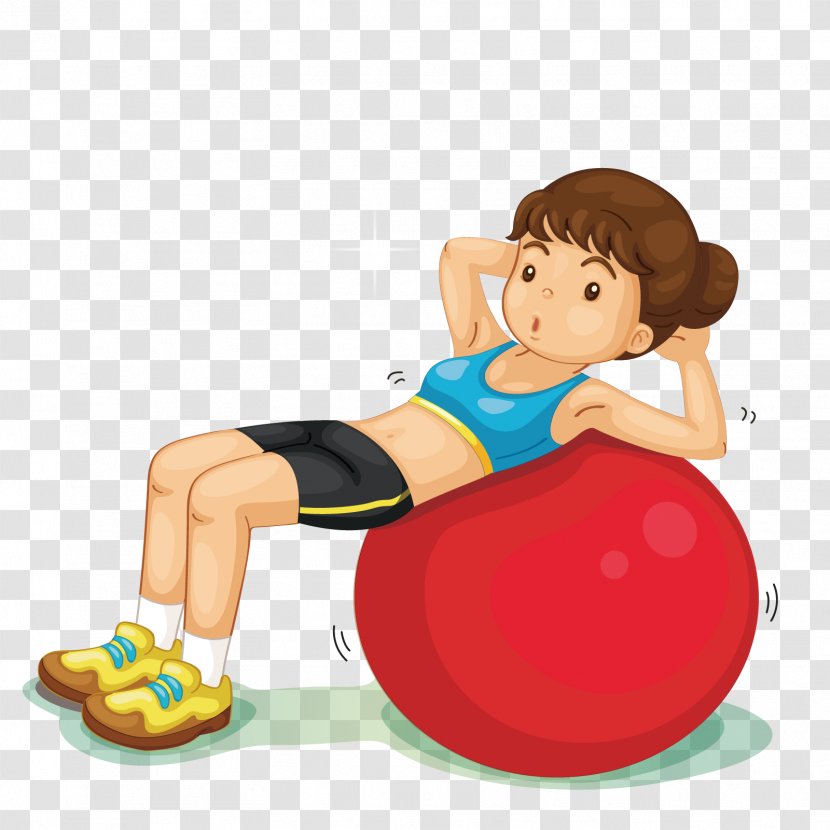 Physical Exercise Fitness Centre Weight Training - Sports Equipment - Vector Yoga Ball Transparent PNG