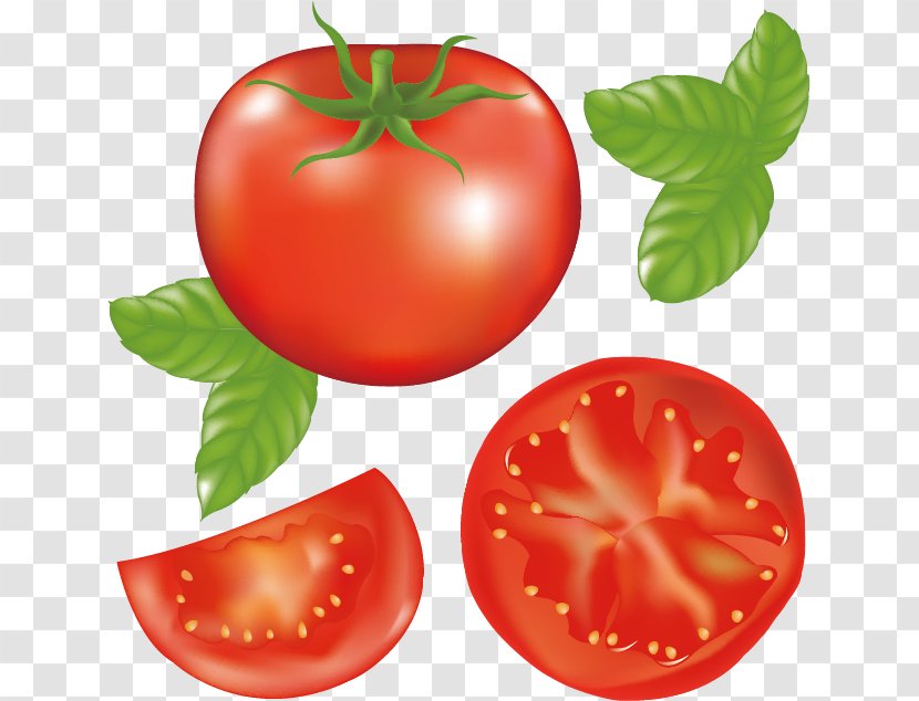 Tomato Juice Hamburger Clip Art Transparent PNG