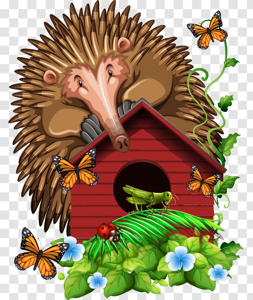 Insect Butterfly Cartoon Illustration - Chicken - Hedgehog On Red House Transparent PNG