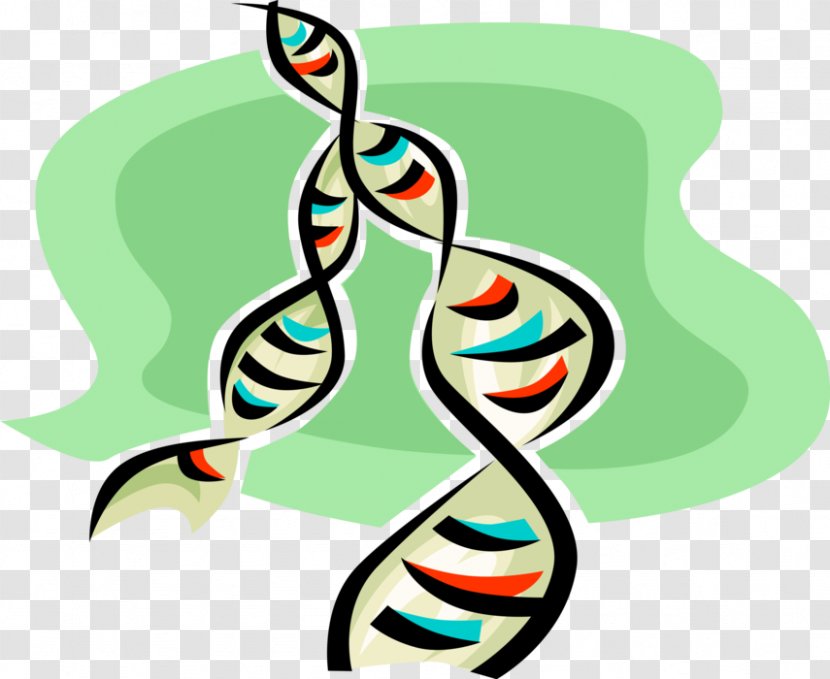 Clip Art Graphic Design Vector Graphics Illustration Image - Nucleic Acid Double Helix - Biopharmaceutical Transparent PNG