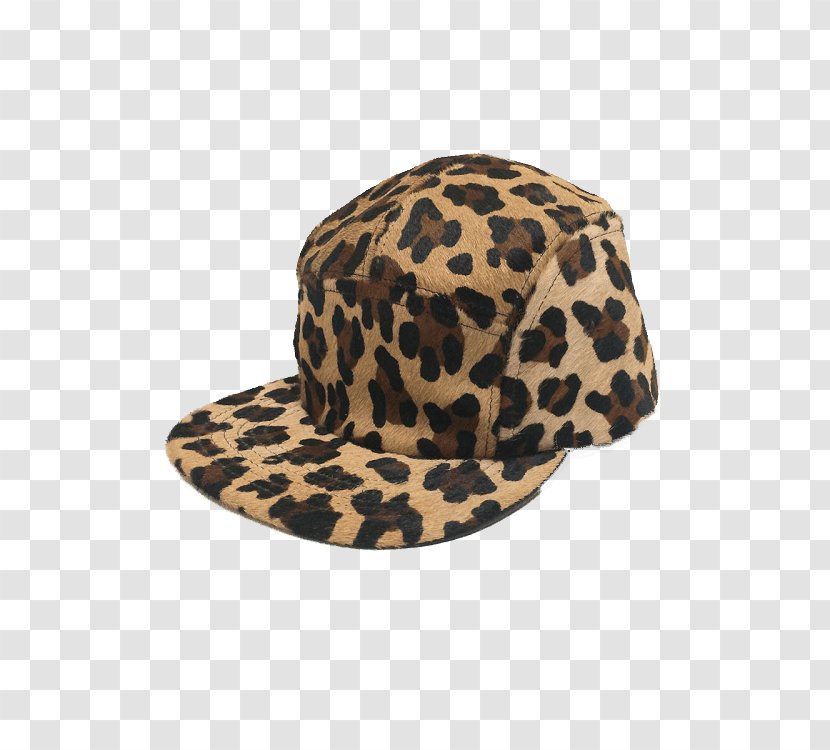 Baseball Cap Cheetah Pony Akoo Campervans Transparent PNG