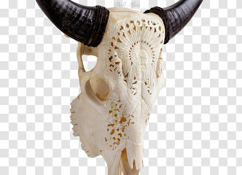 Skull XL Horns Cattle Skeleton - Xl Transparent PNG