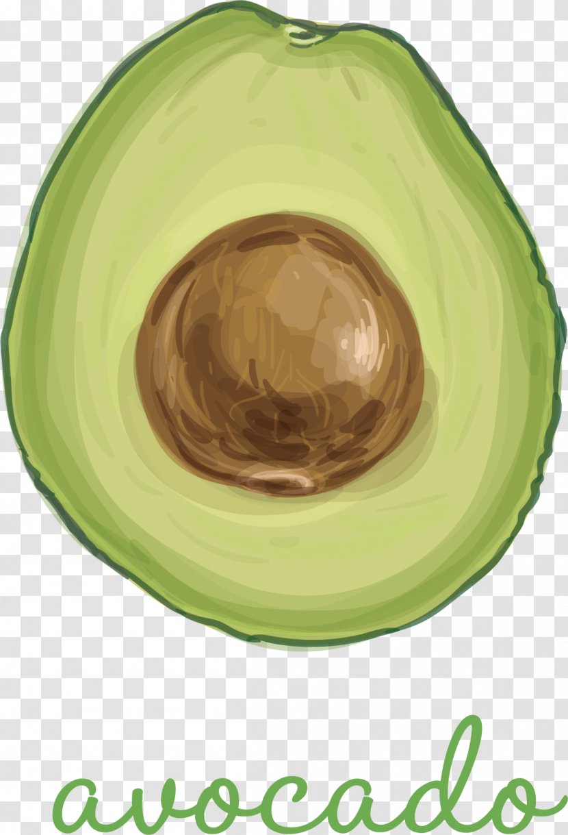 Green Avocado - Food Transparent PNG