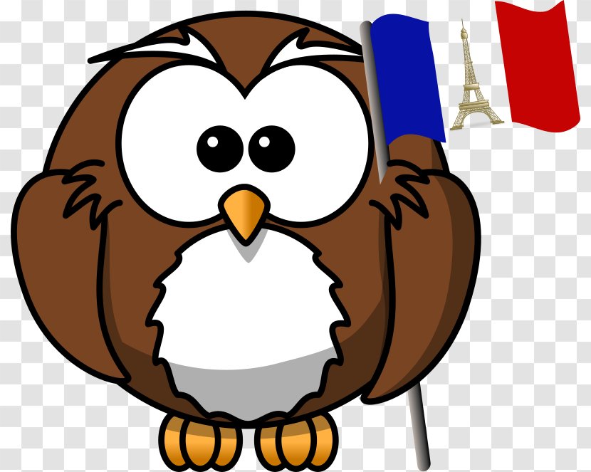 Owl Cartoon Animation Clip Art - French Clipart Transparent PNG
