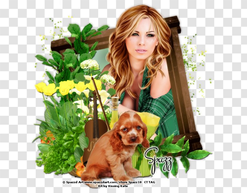 Puppy Dog Breed Companion Spaniel Transparent PNG