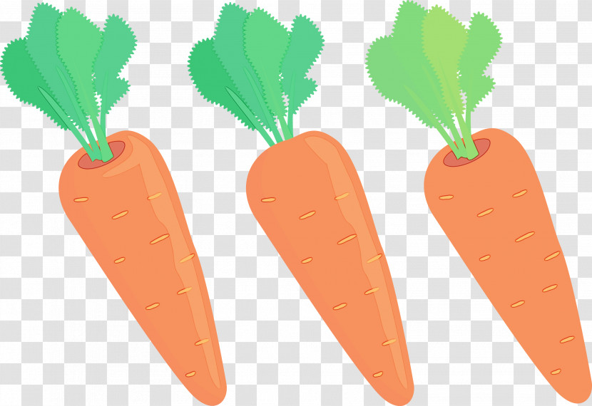 Vegetable Natural Foods Superfood Radish Carrot Transparent PNG