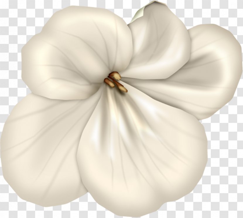 White Mallows Family - Flower - Black And Transparent PNG