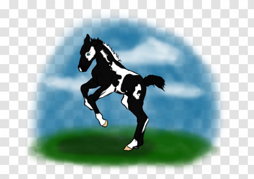 Stallion Mustang Colt Halter Pony - Sports Transparent PNG