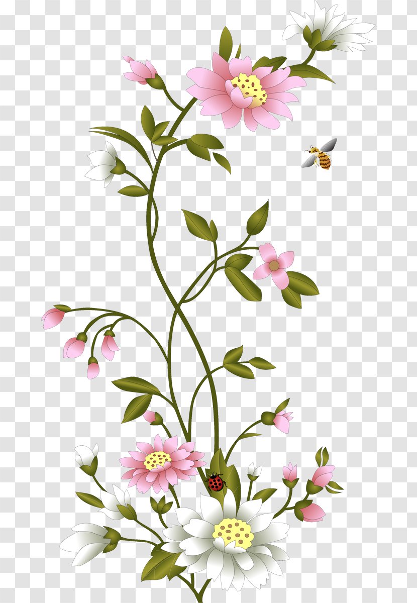 Flower Common Daisy - Drawing - 77 Transparent PNG
