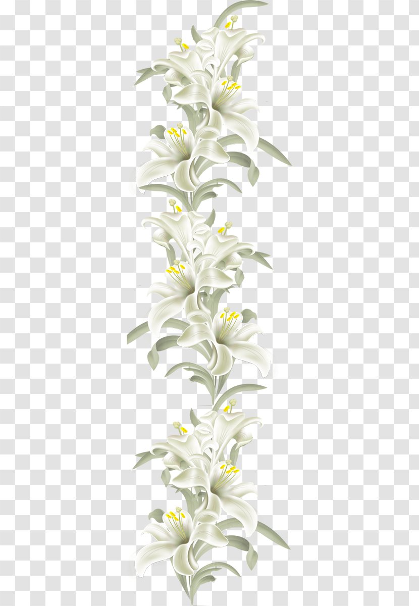 White Lily Flower - Family - Plant Stem Transparent PNG
