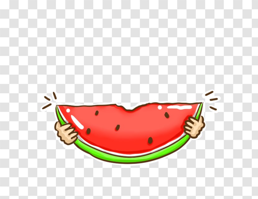 Watermelon Cartoon Illustration - Designer - Floating Transparent PNG