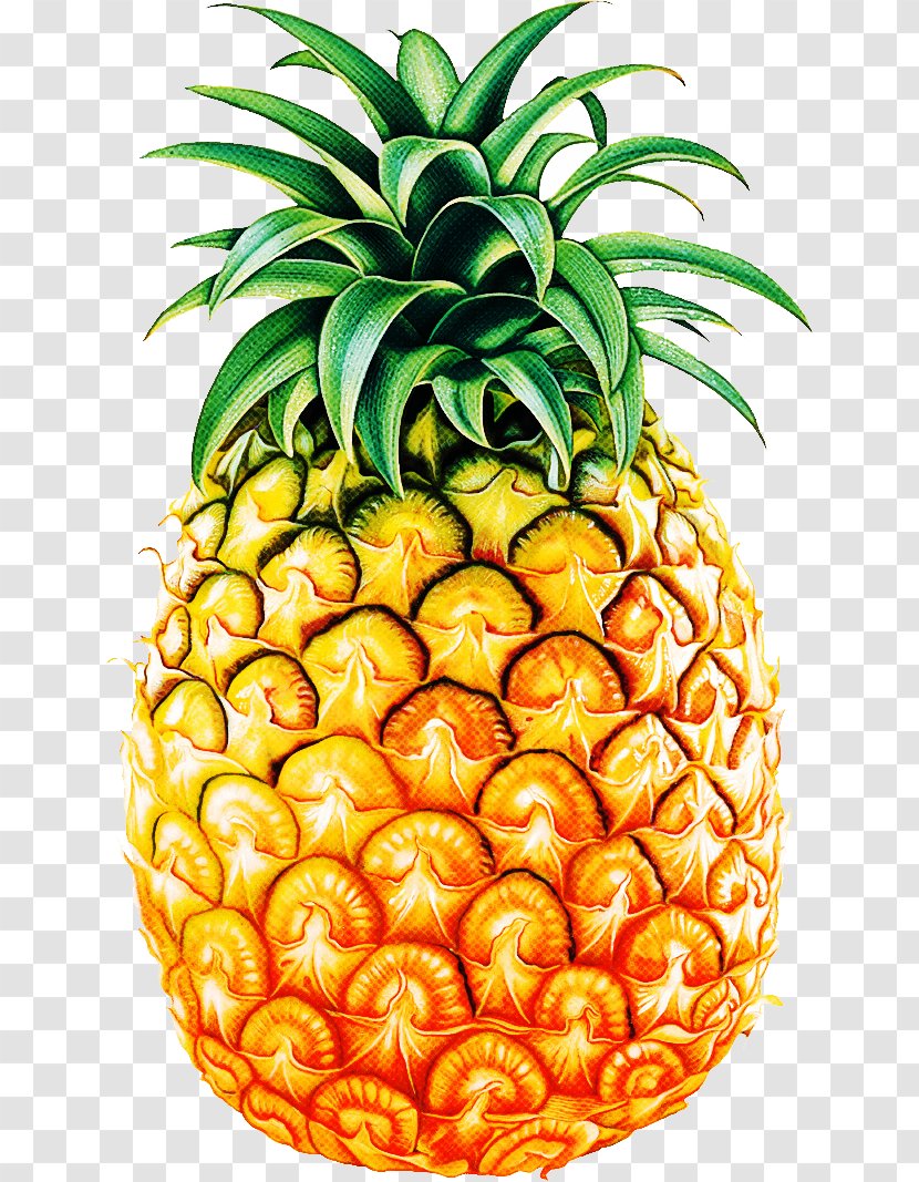 Pineapple - Ananas - Superfood Vegan Nutrition Transparent PNG