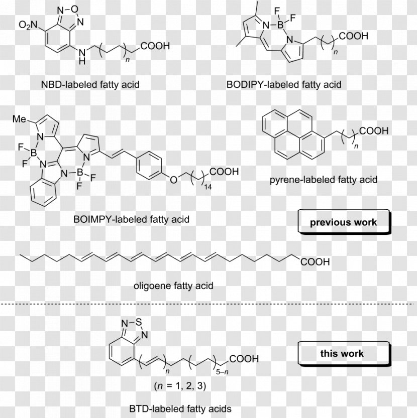 Antioxidant Chemistry Acetylcysteine Glutathione Trolox - Flower - Fragmentation Font Transparent PNG