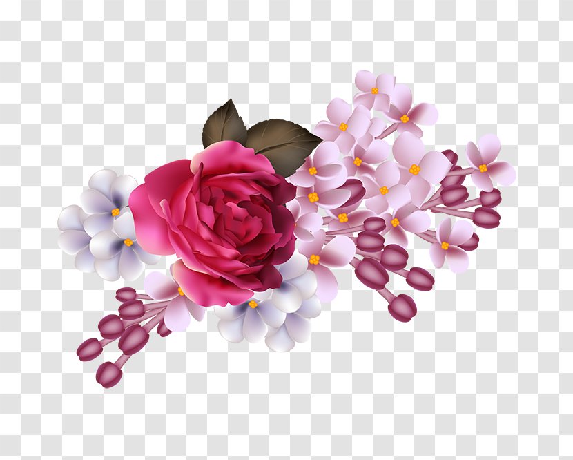 Photography Flower Wallpaper - Blossom Transparent PNG