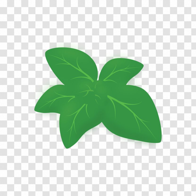 Green Leaf - Plant Transparent PNG