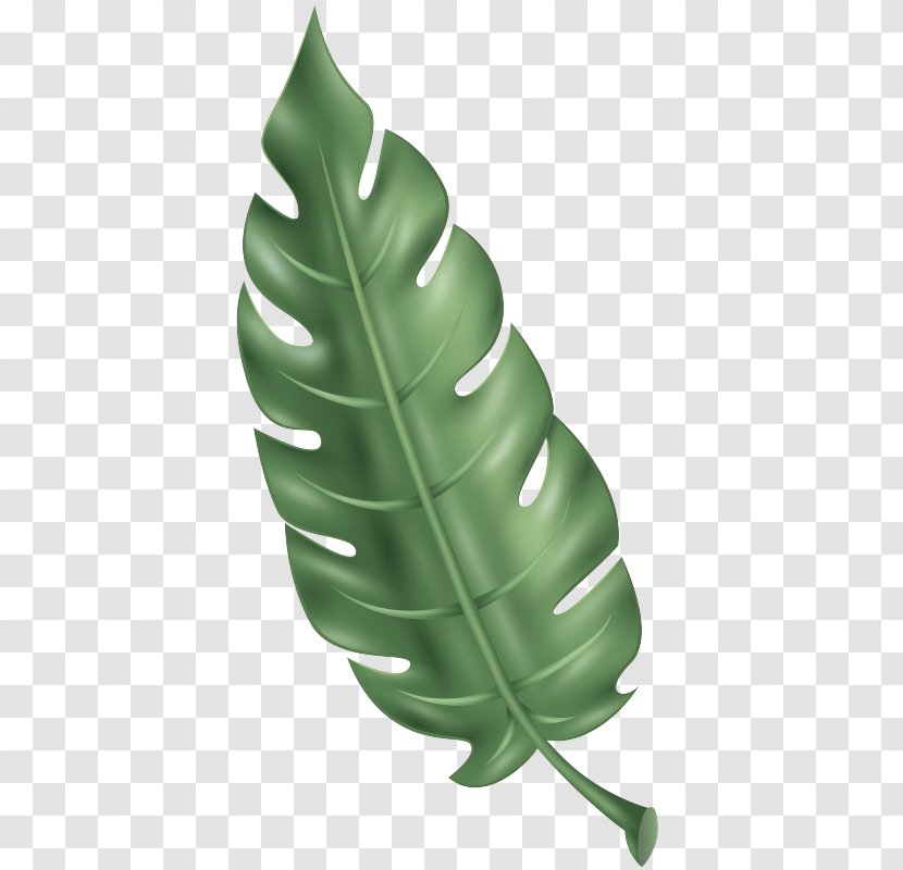 Green Leaf Monstera Deliciosa Finger Plant - Personal Protective Equipment Transparent PNG