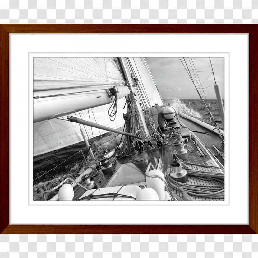 Stock Photography Sailing Royalty-free Ship - Regatta Transparent PNG