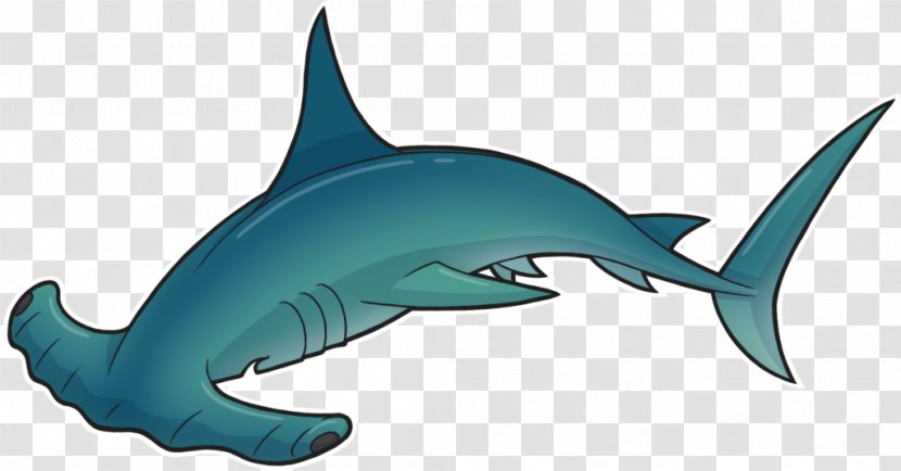 Tiger Shark Common Bottlenose Dolphin Requiem Sharks Transparent PNG