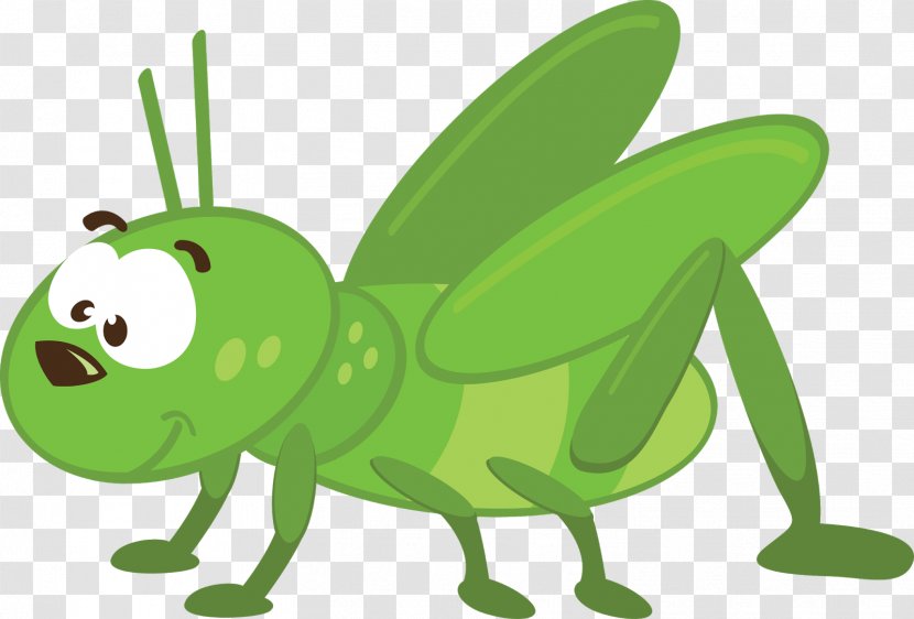 Insect Animation - Green Transparent PNG
