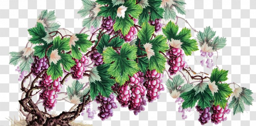 Grape Chinese Painting Fruit - Gongbi Transparent PNG
