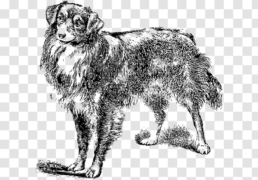 Dog Breed Puppy Clip Art - Fur Transparent PNG