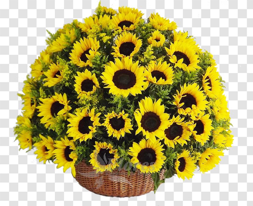 Floristry Floral Design Cut Flowers Food Gift Baskets - Asterales - Flower Transparent PNG