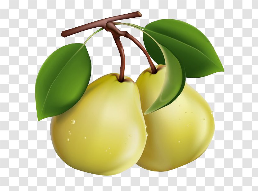 Pear Berry Fruit Clip Art - Plant Transparent PNG