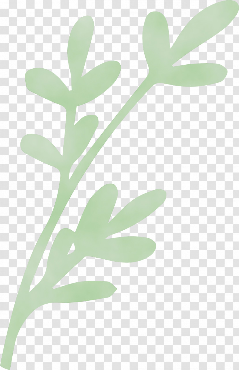 Leaf Plant Stem Flower Font Meter Transparent PNG