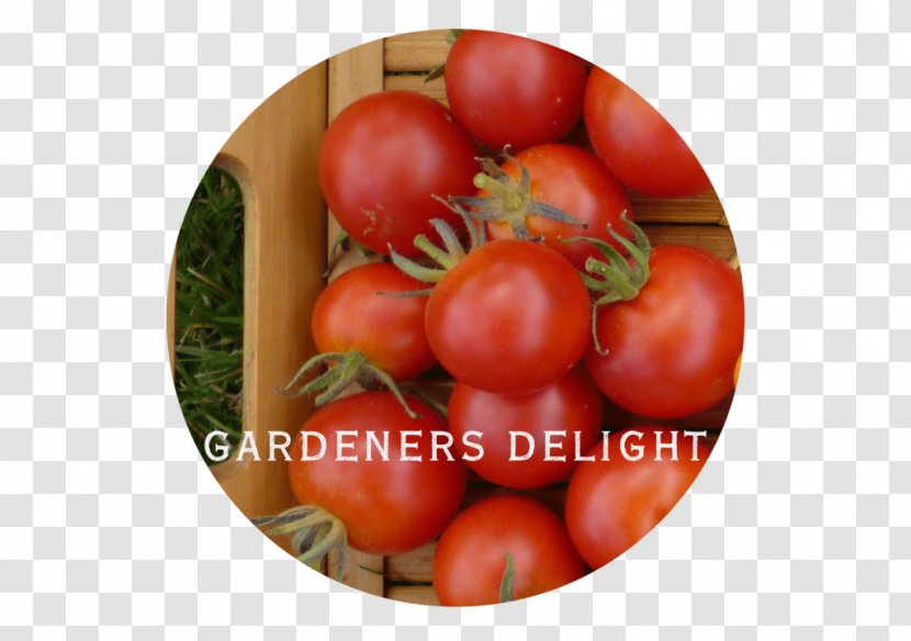 Food Plum Tomato Vegetarian Cuisine Bush - Diet - Cherry Transparent PNG