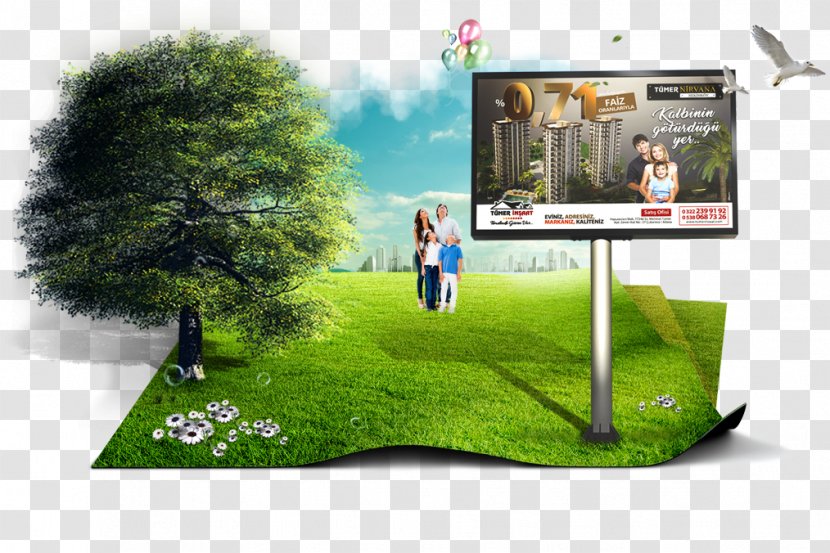 Sorona Business Advertising Agency - Web Template - Design Transparent PNG